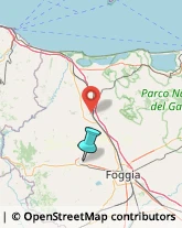 Asili Nido,71036Foggia