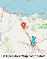 Asili Nido,71122Foggia