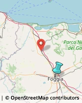 Asili Nido,71122Foggia