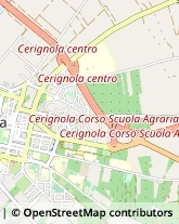 Via Monterosa, 12,71042Cerignola