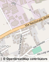 Via Dante Alighieri, 85,80030San Vitaliano