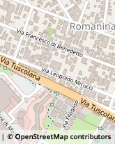 Via Francesco Di Benedetto, 121,00173Roma