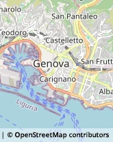 Via Palestro, 14/7,16122Genova