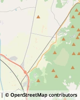 Località Ingegnere, Snc,58036Roccastrada