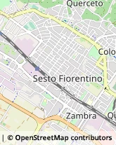 Via Giuseppe Garibaldi, 017,50019Sesto Fiorentino