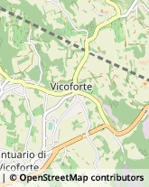 Via del Poggio, 24,12080Vicoforte