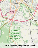 Via delle Capannelle, 134,00178Roma