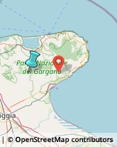 Articoli da Regalo - Dettaglio,71013Foggia