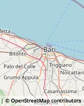 Frizioni e Freni,70010Bari