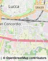 Via Nazario Sauro, 118,55100Lucca