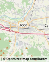 Studi - Geologia, Geotecnica e Topografia,55100Lucca