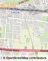 Autofficine e Centri Assistenza,55100Lucca