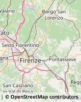 Agenzie Ippiche e Scommesse,50145Firenze