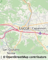 Impianti Sportivi,55100Lucca