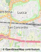 Via S. Nicolao, 65,55100Lucca