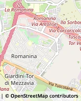 Via Francesco di Benedetto, 372,00173Roma