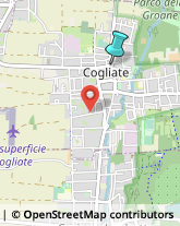 Gelaterie,20815Monza e Brianza