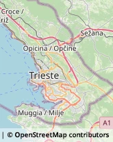 Ottica, Occhiali e Lenti a Contatto - Dettaglio,34015Trieste