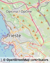 Figurinisti - Scuole,34144Trieste