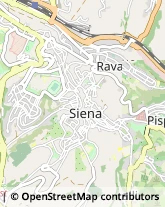 Via Banchi di Sopra, 27,53100Siena