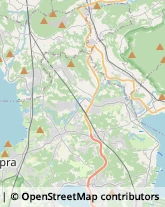 Agenzie Immobiliari,21020Varese