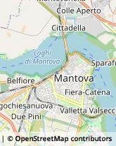 Studi Medici Generici,46100Mantova