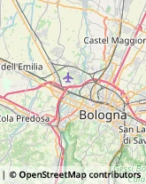 Spedizionieri Doganali,40012Bologna