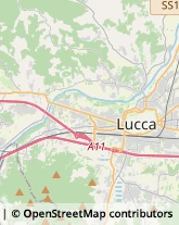 Via Teresa Bandettini, 230,55100Lucca