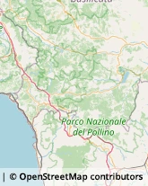 Assicurazioni,85044Potenza