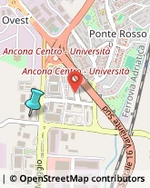 Consulenza Informatica,60131Ancona