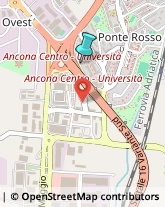 Consulenza Informatica,60131Ancona