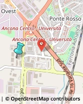 Consulenza Informatica,60123Ancona