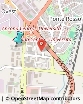 Consulenza Informatica,60131Ancona