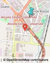 Consulenza Informatica,60131Ancona