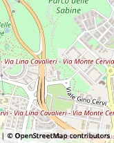 Viale Cesco Baseggio, 44,00139Roma