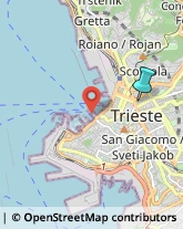 Associazioni e Federazioni Sportive,34133Trieste