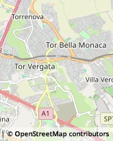 Via Vittorio Rossi, 39,00133Roma