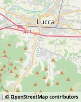 Via Vecchi Pardini, 111,55100Lucca