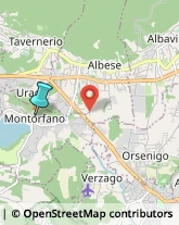 Agenzie Immobiliari,22030Como