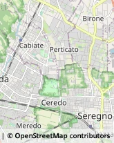 Sedie e Tavoli - Dettaglio,20821Monza e Brianza