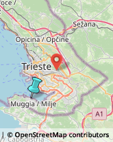 Enoteche,34015Trieste