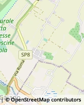 Pratiche Automobilistiche,59100Prato