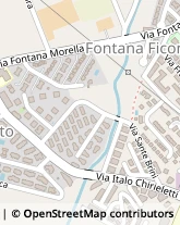 Via Dante Travagliati, 155,00052Cerveteri