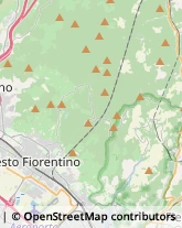 Via Fonte Mezzina, 34,50019Sesto Fiorentino