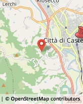 Via Dante Alighieri, 39,06012Città di Castello