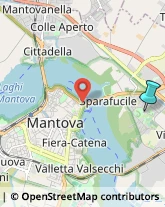 Università ed Istituti Superiori,46100Mantova