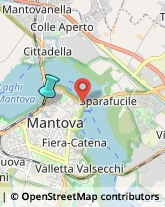 Università ed Istituti Superiori,46100Mantova