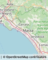 Agenzie di Animazione e Spettacolo,19031La Spezia