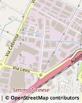 Via Giovanni Verga, 40,10036Settimo Torinese