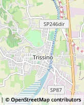 Via Roma, 50,36070Trissino